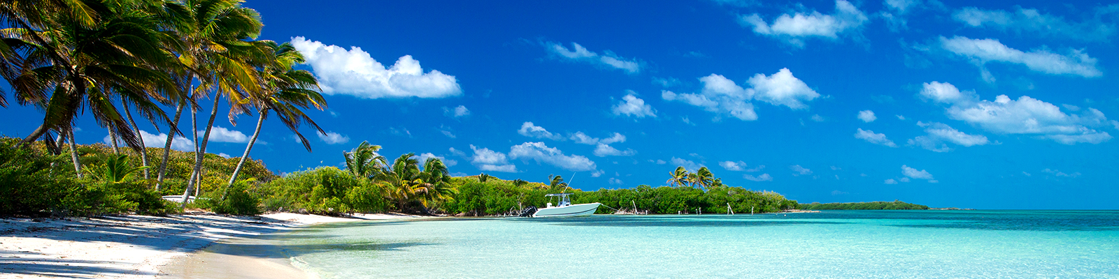 Ocean Cruises in the Caribbean